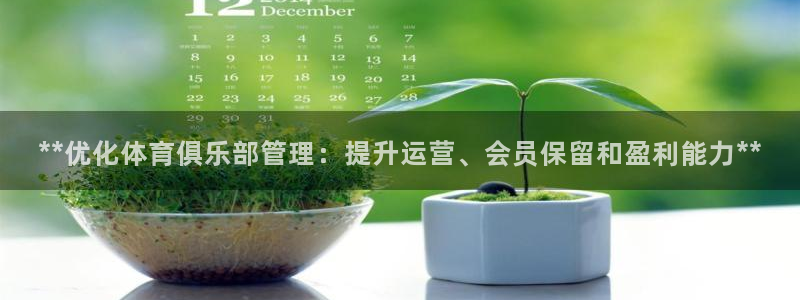 必一体育登录APP下载：**优化体育俱乐部管理：提升运营、会