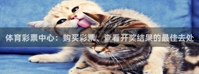 必一体育在线官网