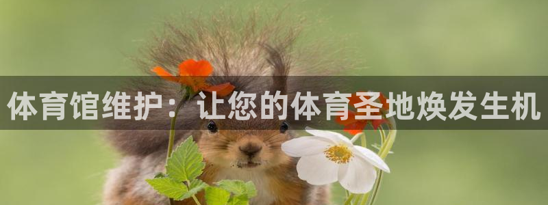 必一体育运动平台官网