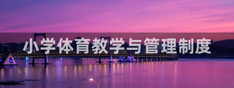 必一体育sport官方网站