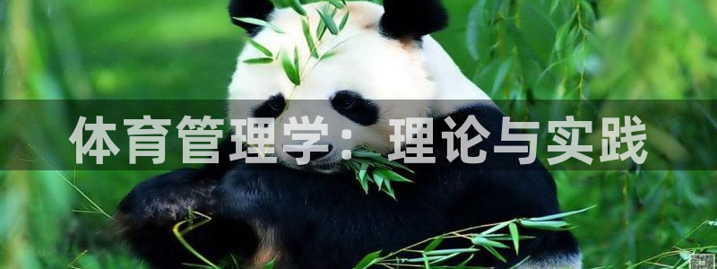 必一体育下载一样吗：