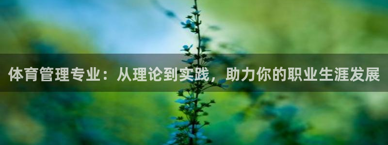 必一体育秀给网：体育