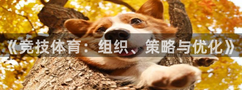 必一体育下载app下