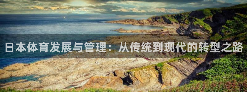 必一体育在线玩：日本
