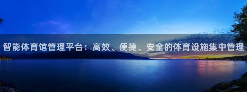 必一体育黑平台：智能体育馆管理平台：高效、便捷、安全的体育设