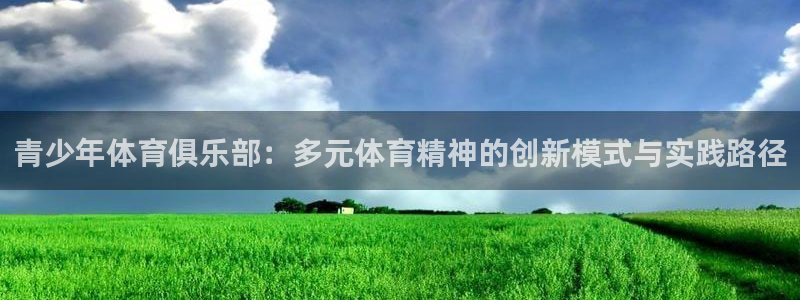 必一体育没了：青少年体育俱乐部：多元体育精神的创新模式与实践