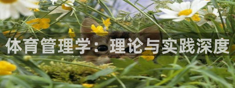 必一体育官方网站入口