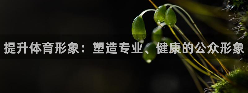必一体育秀给网：提升