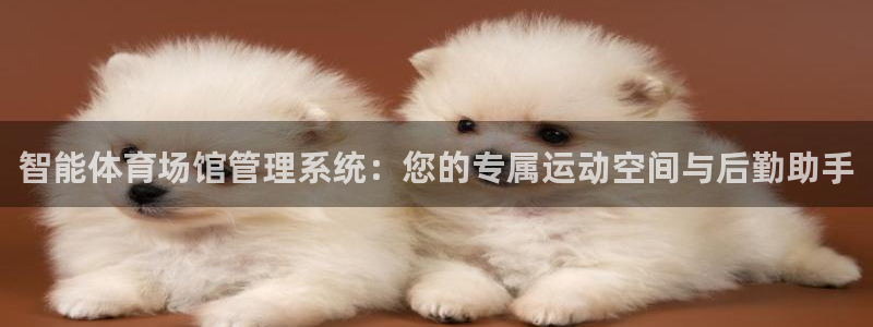 必一体育旧版：智能体