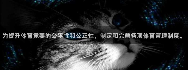 必一体育下载移动版：