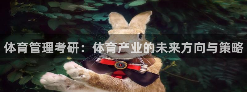 必一体育最新官网入口