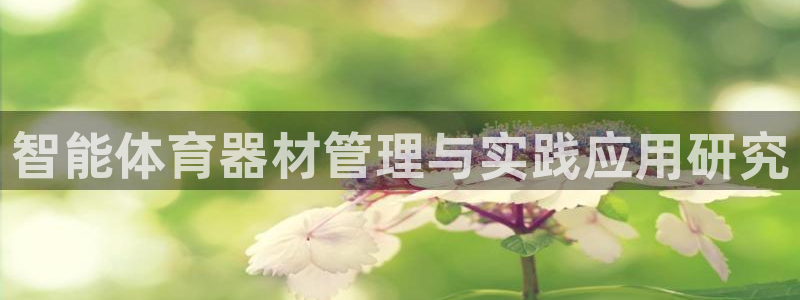 必一体育电子app：