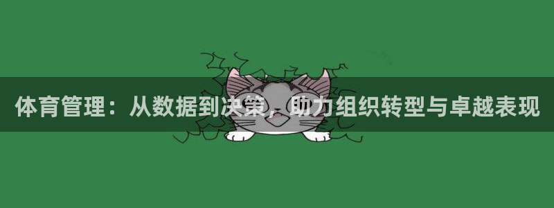 必一运动体育app：体育管理：从数据到决策，助力组织转型与卓
