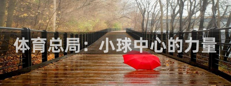 必一体育登录入口APP：体育总局：小球中心的力量