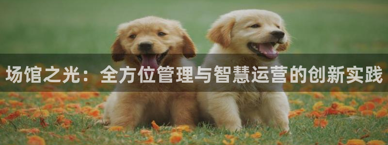 必一体育官方下载入口