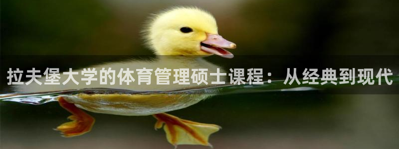 必一运动·(B-sp