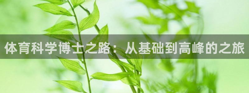 必一体育服下载最新版