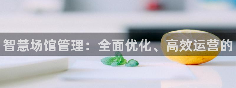 必一体育全站在线登录