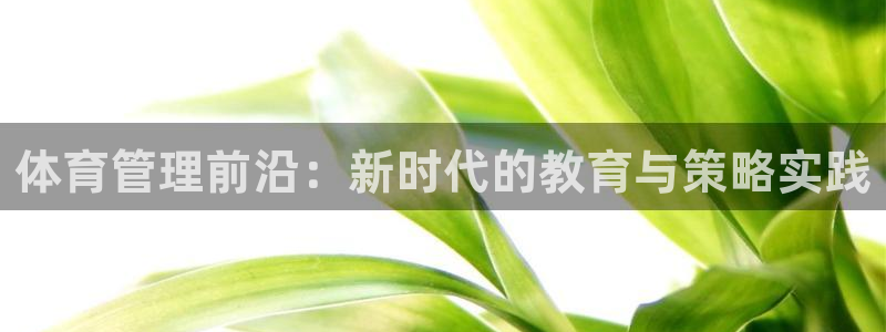 必一体育秀给网：体育