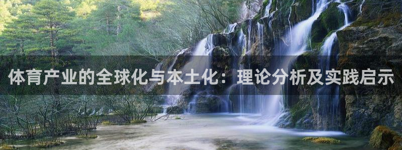 必一体育sportB体育：体育产业的全球化与本土化：理论分析