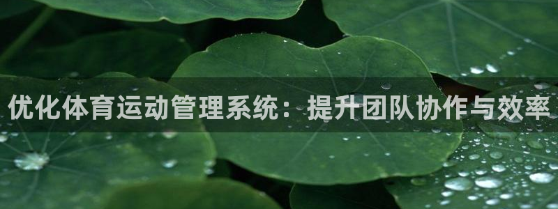 必一体育黑平台：优化