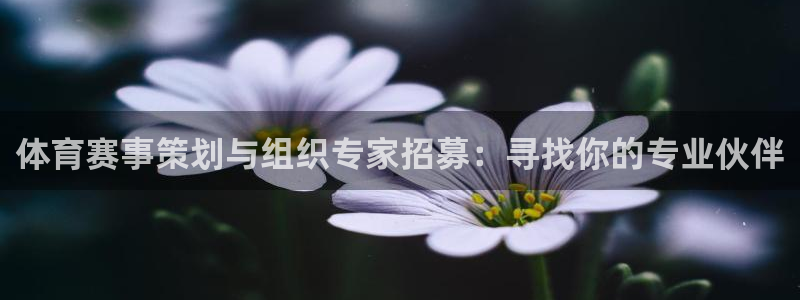 必一体育app平台下