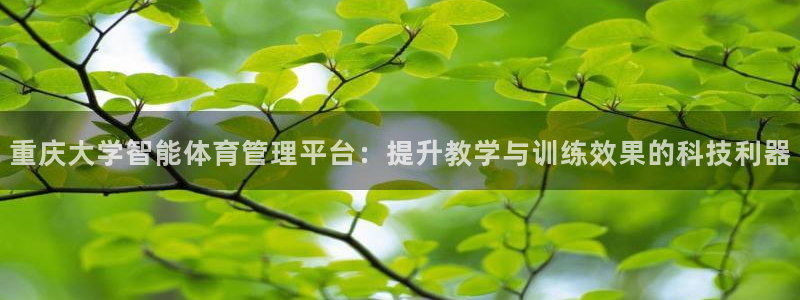 必一体育官方下载入口