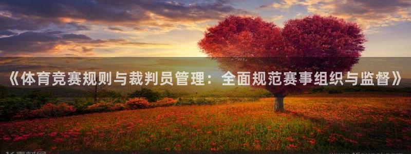 必一运动sport网