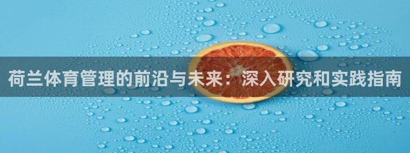 必一体育下载义：荷兰