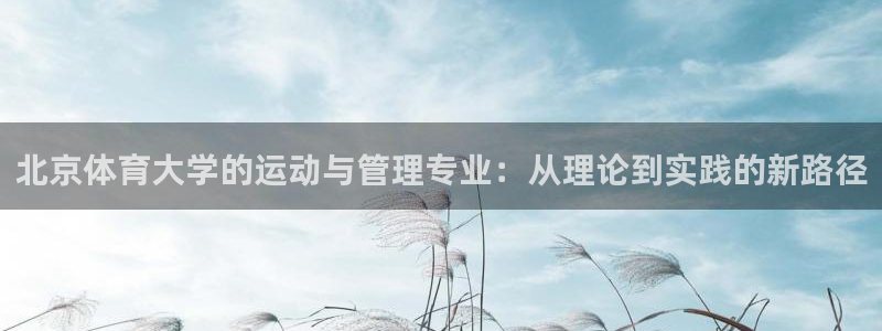 必一体育运动官网：北