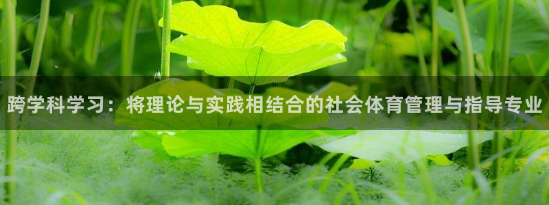 Bsport体育必一：跨学科学习：将理论与实践相结合的社会体