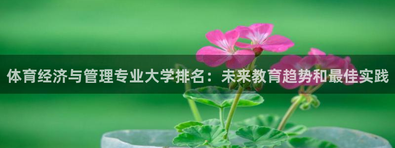 必一体育网站：体育经济与管理专业大学排名：未来教育趋势和最佳