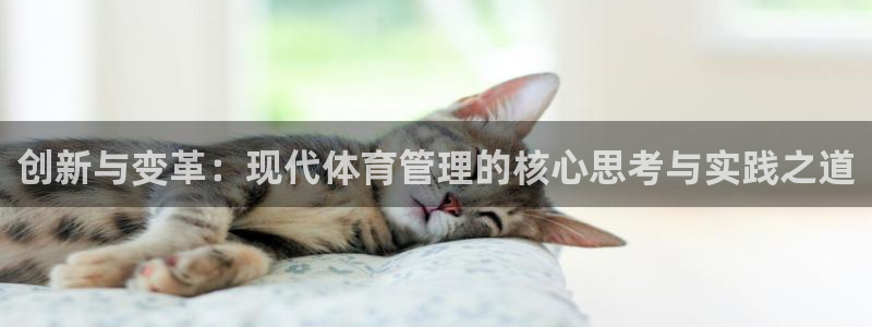 必一运动体育官网下载