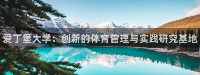 必一体育sport：