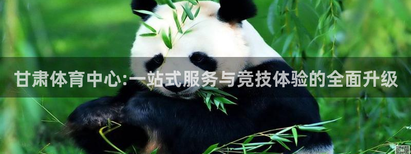 必一体育下载入口：甘肃体育中心:一站式服务与竞技体验的全面升