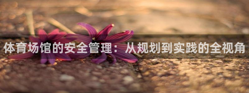 必一体育是哪里的台子：体育场馆的安全管理：从规划到实践的全视