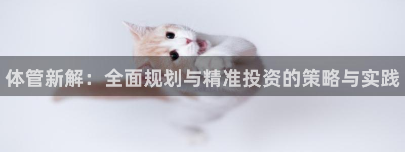 必一体育app下载最