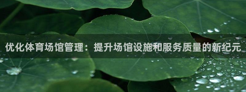 必一体育app平台下