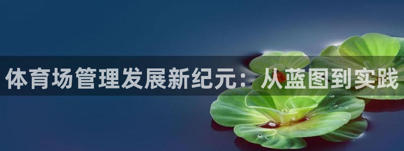 b体育官网下载入口a