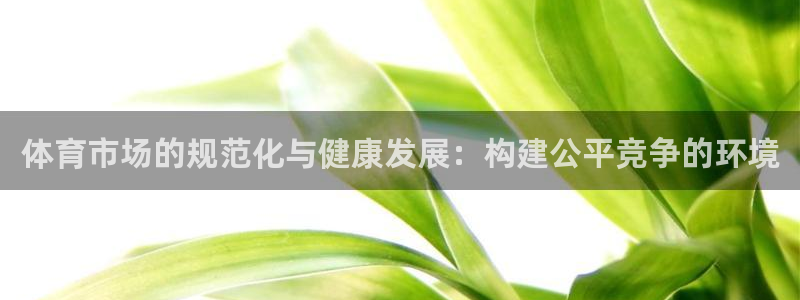 必一体育：体育市场的