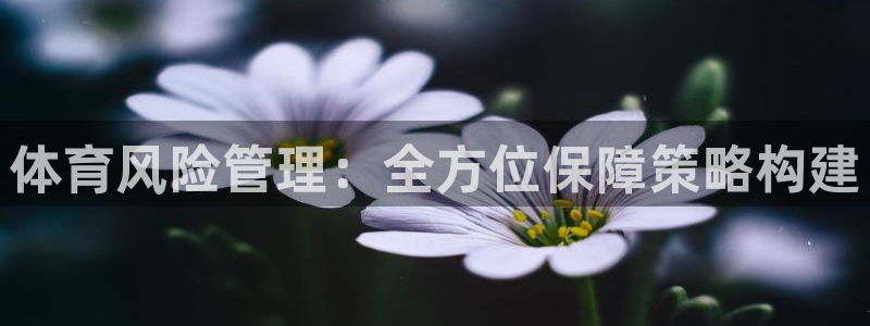 必一体育在线登录：体育风险管理：全方位保障策略构建