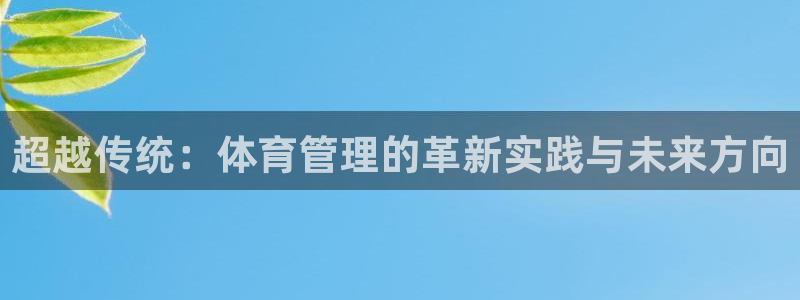 必一体育是哪里的台子