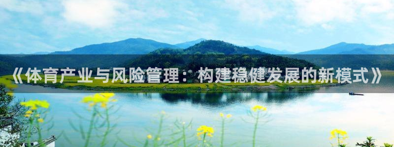 必一运动·(B-Sports)：《体育产业与风险管理：构建稳