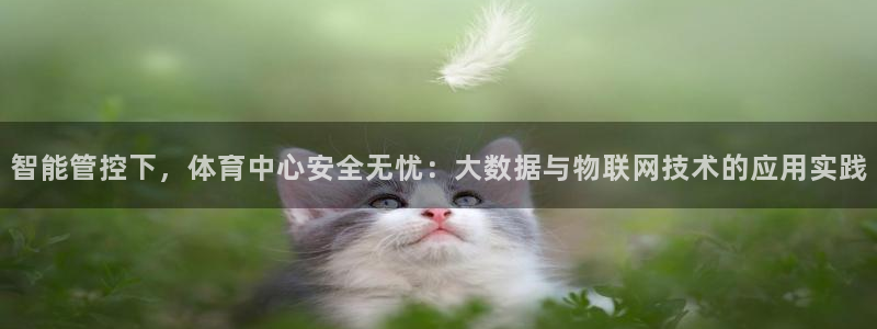 必一体育下载意思：智