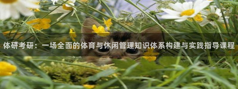 必一体育在线登陆：体研考研：一场全面的体育与休闲管理知识体系