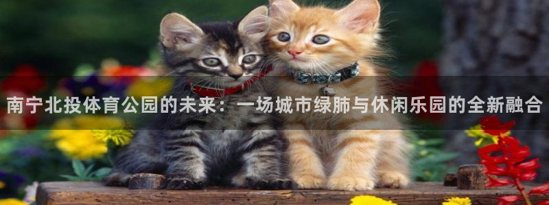 必一运动官网平台：南