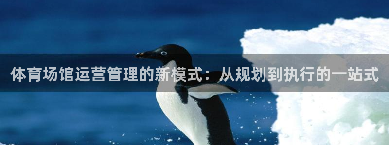 必一运动官网入口：体育场馆运营管理的新模式：从规划到执行的一