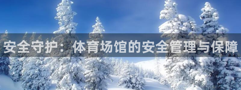 必一体育没了：安全守