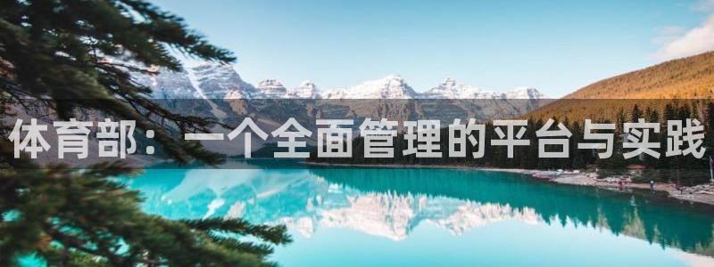 必一体育官网ios下载：体育部：一个全面管理的平台与实践