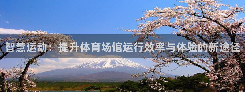 必一体育平台：智慧运